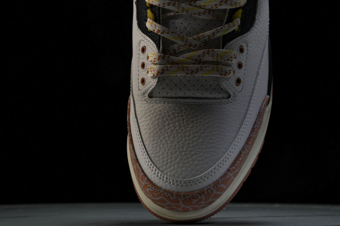 Air Jordan 3 Retro GS 