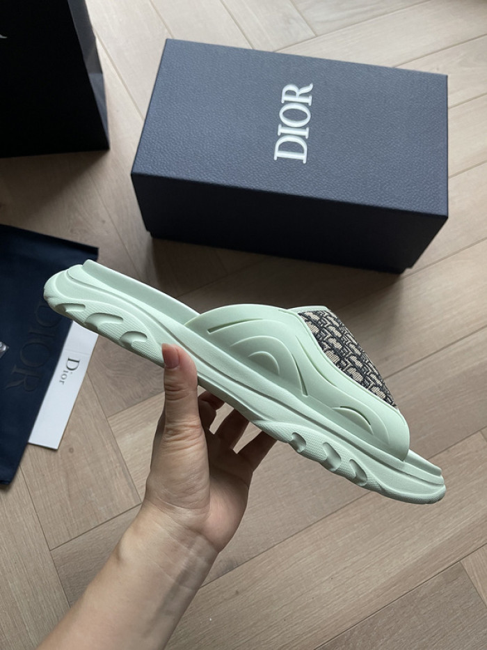 D1R* SLIDE copshoe  DR-SLIDE 008