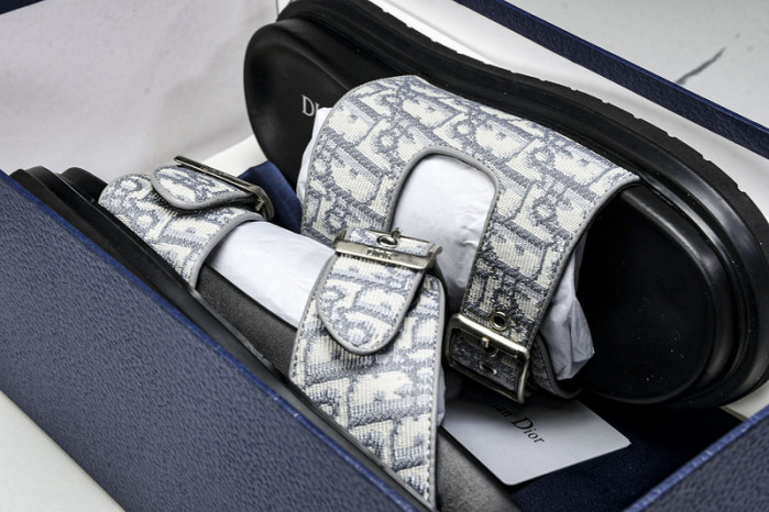 D1R* SLIDE copshoe  DR-SLIDE 014