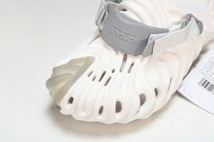 Cr*0*s pollex slide  cp -01