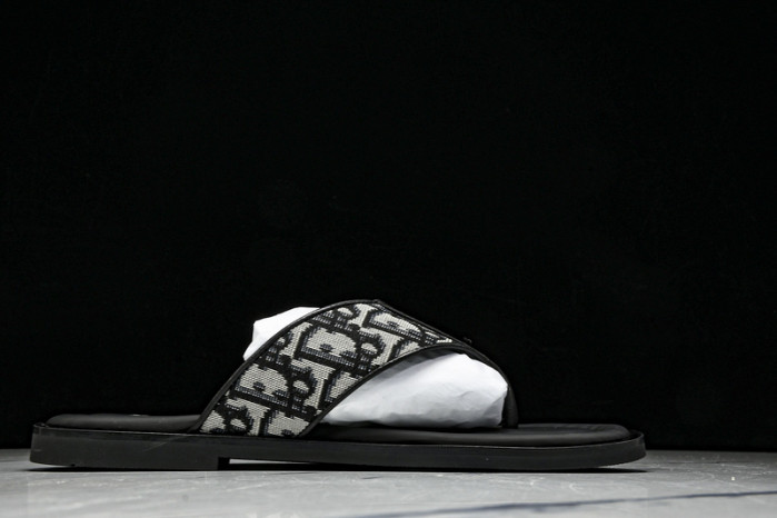 D1R* SLIDE copshoe  DR-SLIDE 015