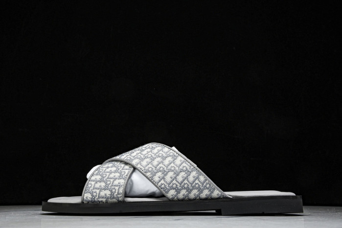 D1R* SLIDE copshoe  DR-SLIDE 016