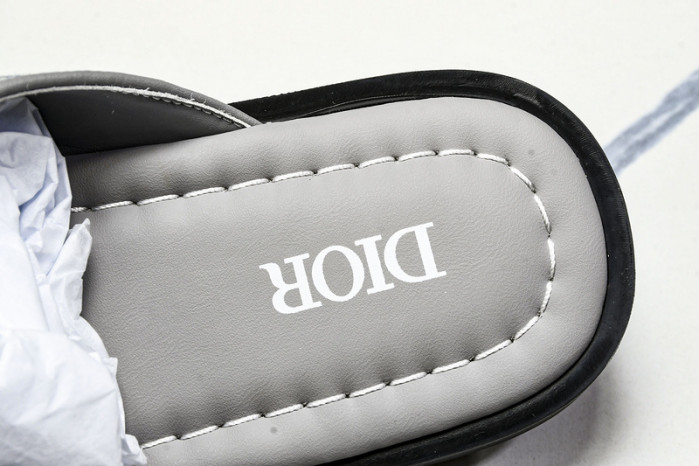 D1R* SLIDE copshoe  DR-SLIDE 016