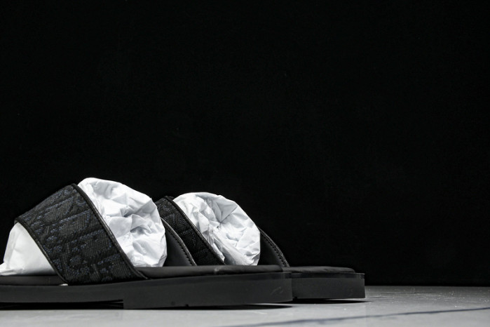 D1R* SLIDE copshoe  DR-SLIDE 017