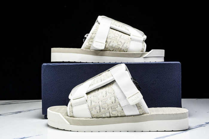 D1R* SLIDE copshoe  DR-SLIDE 019