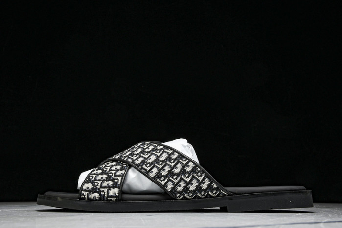 D1R* SLIDE copshoe  DR-SLIDE 020