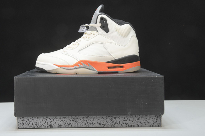 Air Jordan 5 Shattered Backboard DC1060-100