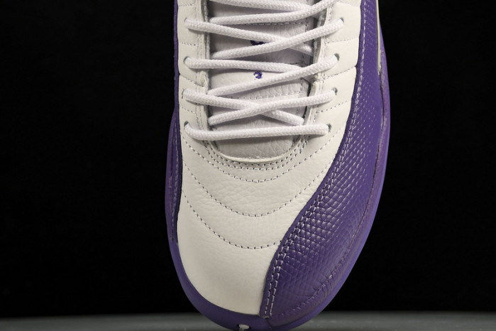 Air Jordan 12   CT8013-150