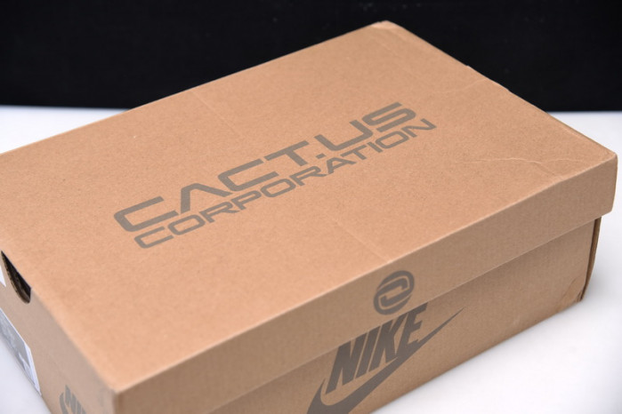 TRAVIS SCOTT x NIKE AIR MAX 1 DO9392-200