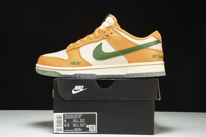 Florida A&M x Nike Dunk Low  DR6188-800