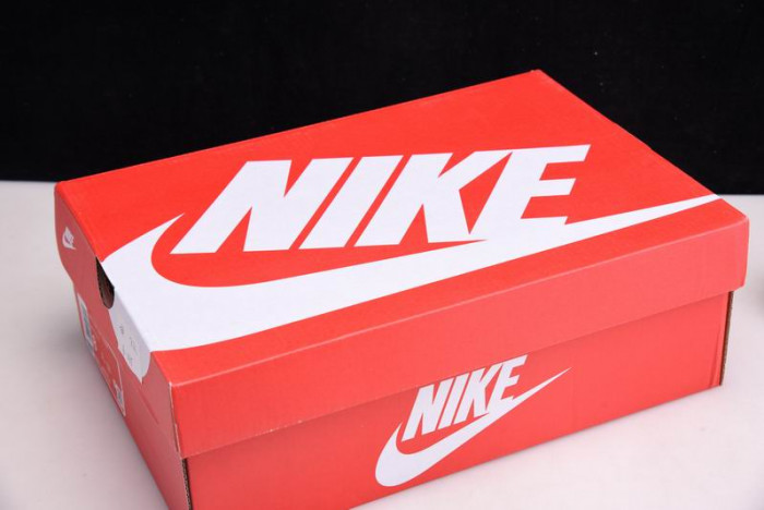 Kasina x Nike Dunk Low  CZ6501-100