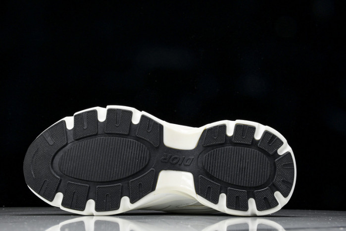 D1R* B44   copshoe  DR-307