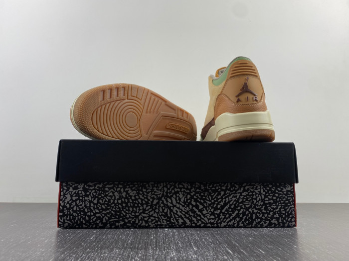 Air Jordan 3  retro CT8532-160