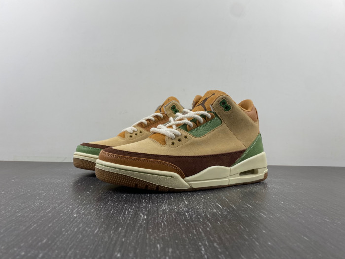 Air Jordan 3  retro CT8532-160