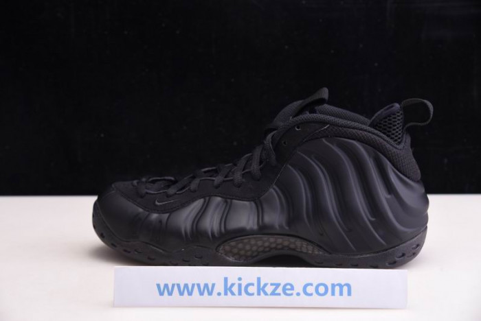 NIKE AIR FOAMPOSITE ONE AUTHRACITE BLACKOUT 314996-001