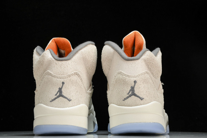 Air Jordan 5 Retro SE 