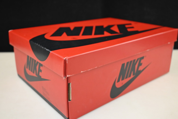 Air Jordan 1 High OG WMNS Satin Bred FD4810-061