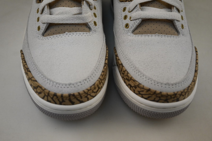 Air Jordan 3 Palomino CT8532-102