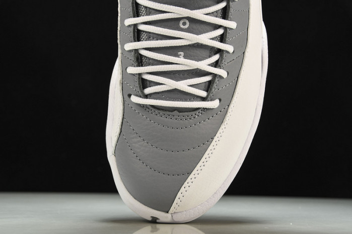 Air Jordan 12 Stealth CT8013-015