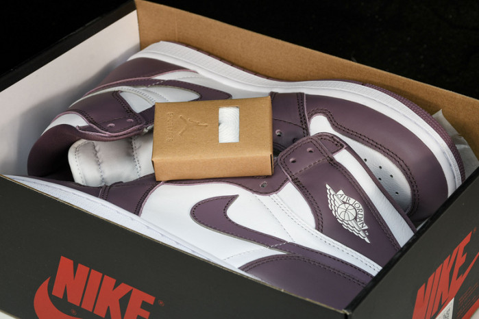 Air Jordan 1 High OG “Sky J Mauve” DZ5485-105