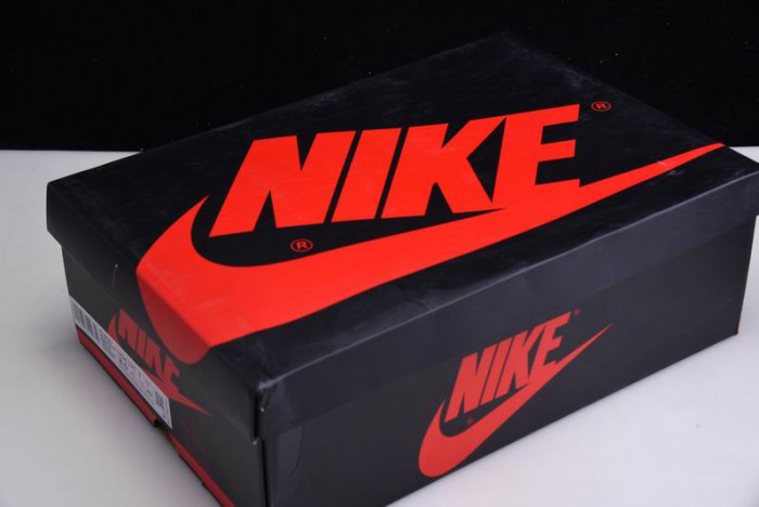 Air Jordan 1 Retro High OG 