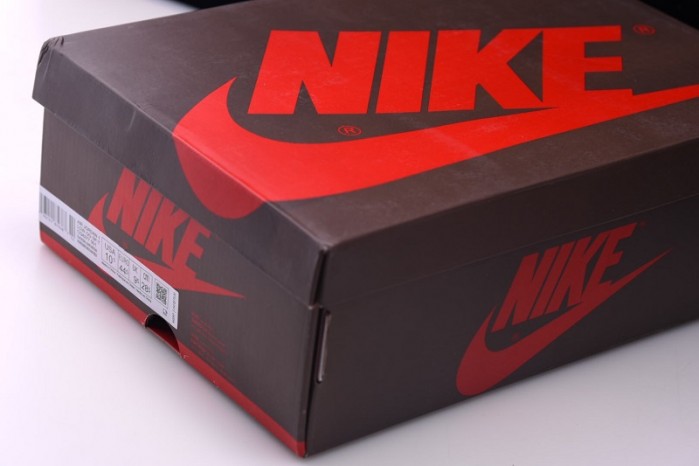 TRAVIS SCOTT AIR JORDAN 1 LOF DARK MOCHA CQ4277-001